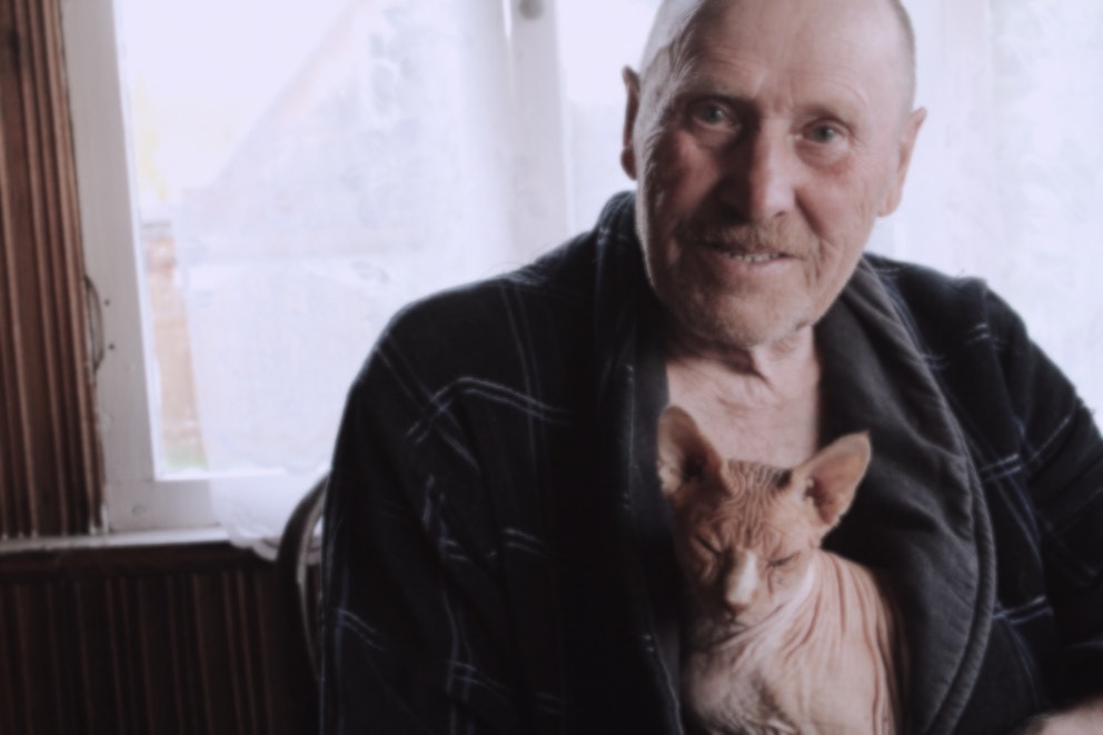 cats-illness