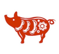 zodiac chinezesc porc